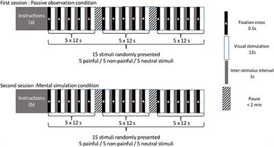 Mental Simulation of Painful Situations Has an Impact on Posture and Psychophysiological Parameters